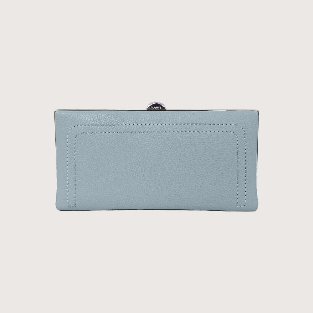 Quinn Clutch Framed Wallet