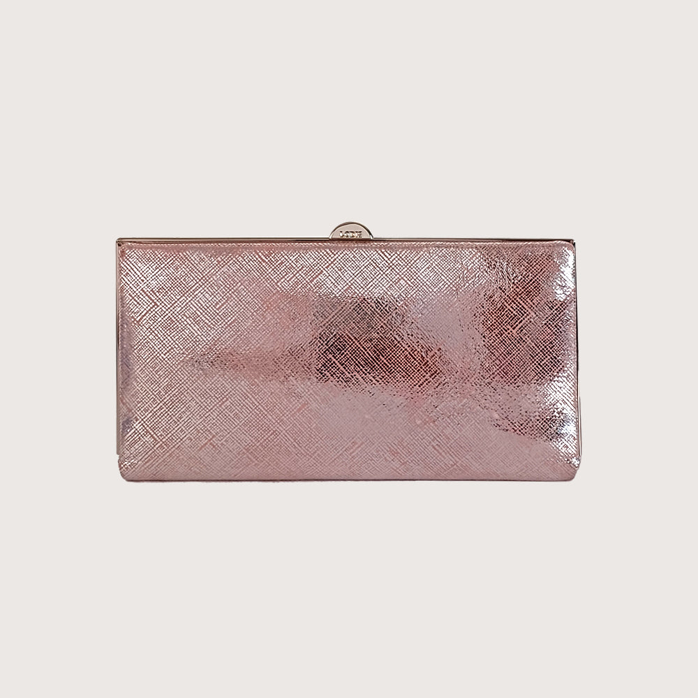 Quinn Clutch Framed Wallet